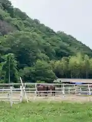 若都王子神社の動物