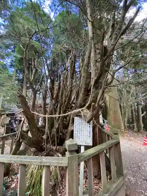 幣立神宮(熊本県)