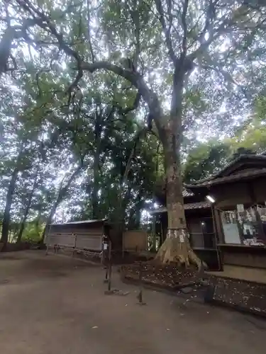 氷川女體神社(埼玉県)