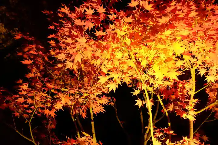 長谷寺(神奈川県)