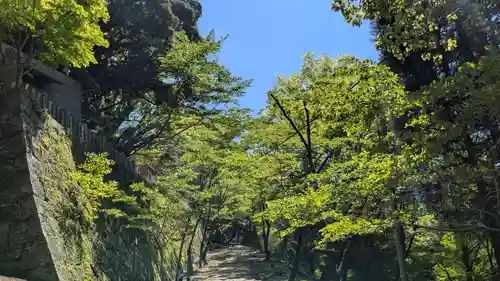 末廣神社の景色