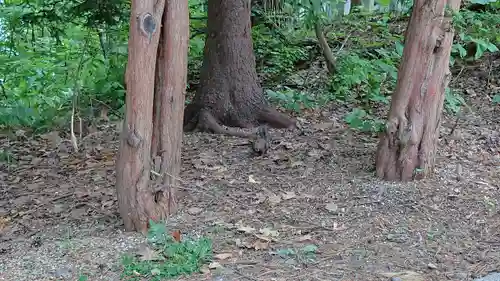 上川神社の動物