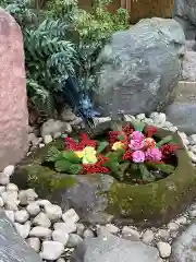 田無神社の手水