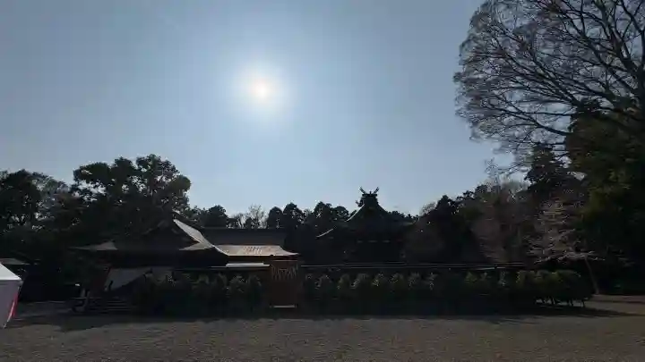 鷲宮神社の{uncategorized: "未分類", other: "その他", undefined: "問題あり", building: "その他建物", grave: "お墓", sacred_gate: "鳥居", guardian: "狛犬", statue: "像", buddha: "仏像", history: "歴史", nature: "自然", garden: "庭園", animal: "動物", pagoda: "塔", temizu: "手水舎", mountain_gate: "山門・神門", sanctuary: "本殿・本堂", subordinate: "末社・摂社", art: "芸術", scenery: "景色", jizo: "地蔵", ema: "絵馬", goshuin: "御朱印", omikuji: "おみくじ", items: "授与品その他", amulet: "お守り", goshuincho: "御朱印帳", eats: "食事", festival: "お祭り", votive_dance: "神楽", shichigosan: "七五三参", wedding: "結婚式", experience: "体験その他", initially: "初詣", around: "周辺", anti_infection: "感染症対策"}
