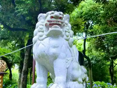 菊田神社の狛犬