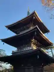 豪徳寺の建物その他