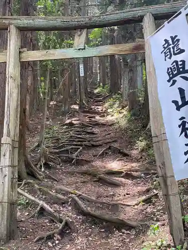 龍興山神社の鳥居