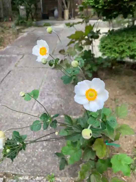 二本松寺(茨城県)