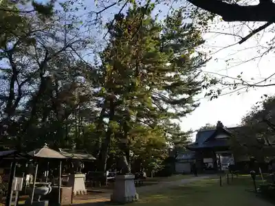 観音寺（世田谷山観音寺）のその他建物