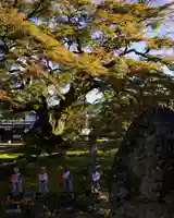 西善寺(埼玉県)