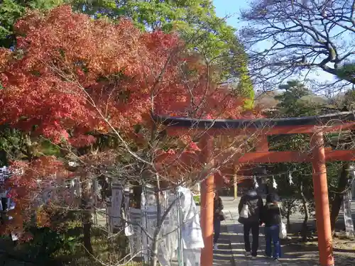 鶴岡八幡宮の自然