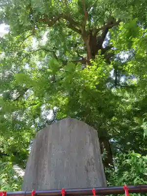 七社神社(東京都)