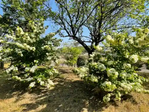 大生郷天満宮の自然