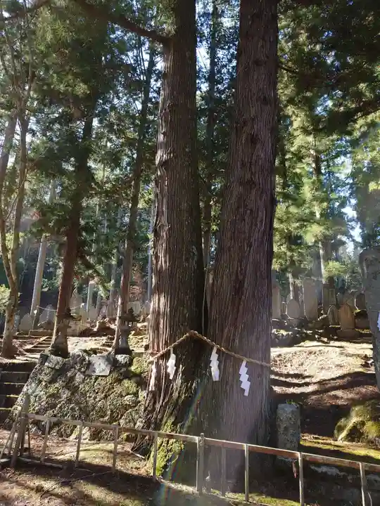 駒ヶ嶽神社(前宮)(山梨県)