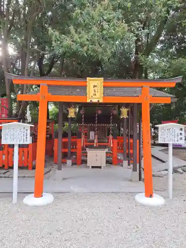 賀茂御祖神社（下鴨神社）(京都府)