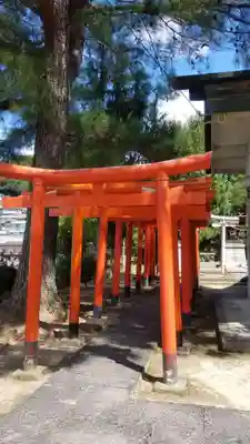 早稲田神社の鳥居