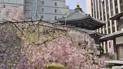 頂法寺(六角堂)の本殿・本堂