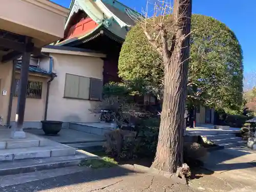 東福寺(神奈川県)