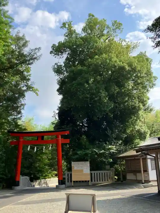 白笹稲荷神社(神奈川県)