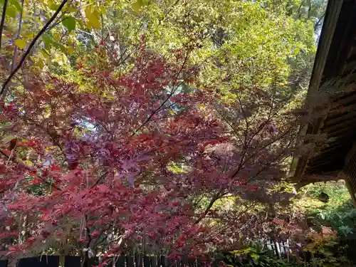 平塚八幡宮(神奈川県)