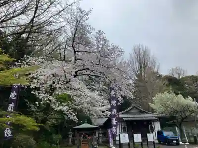 総持寺(神奈川県)
