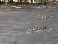 伏木香取神社(茨城県)