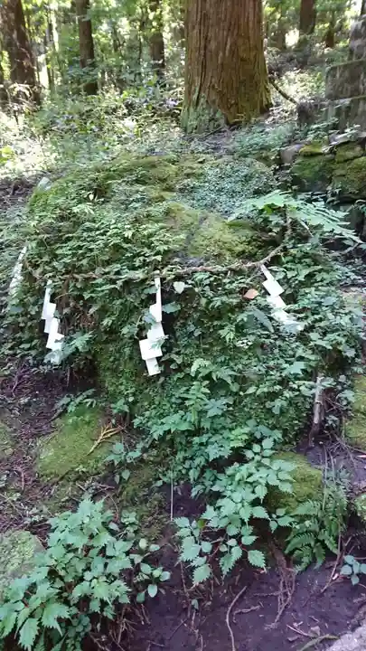 上色見熊野座神社の自然