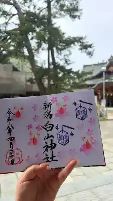 白山神社の{uncategorized: "未分類", other: "その他", undefined: "問題あり", building: "その他建物", grave: "お墓", sacred_gate: "鳥居", guardian: "狛犬", statue: "像", buddha: "仏像", history: "歴史", nature: "自然", garden: "庭園", animal: "動物", pagoda: "塔", temizu: "手水舎", mountain_gate: "山門・神門", sanctuary: "本殿・本堂", subordinate: "末社・摂社", art: "芸術", scenery: "景色", jizo: "地蔵", ema: "絵馬", goshuin: "御朱印", omikuji: "おみくじ", items: "授与品その他", amulet: "お守り", goshuincho: "御朱印帳", eats: "食事", festival: "お祭り", votive_dance: "神楽", shichigosan: "七五三参", wedding: "結婚式", experience: "体験その他", initially: "初詣", around: "周辺", anti_infection: "感染症対策"}
