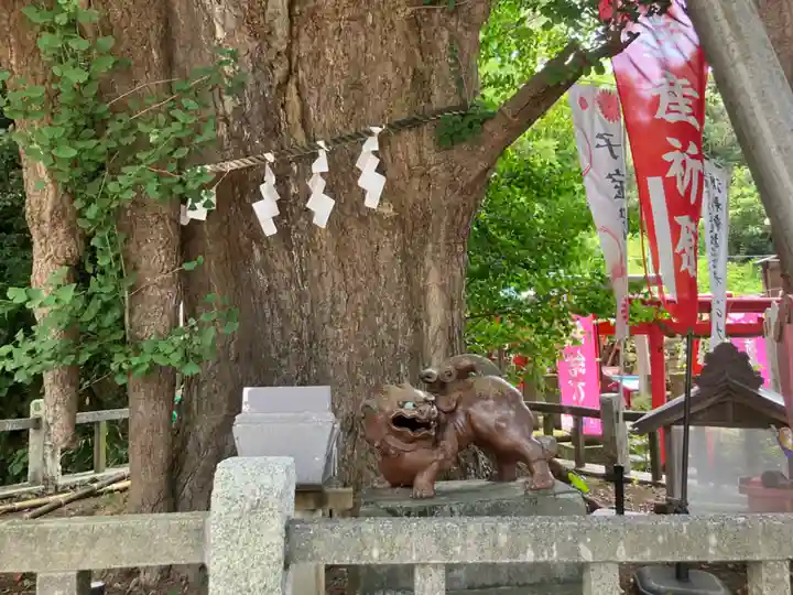 海南神社(神奈川県)