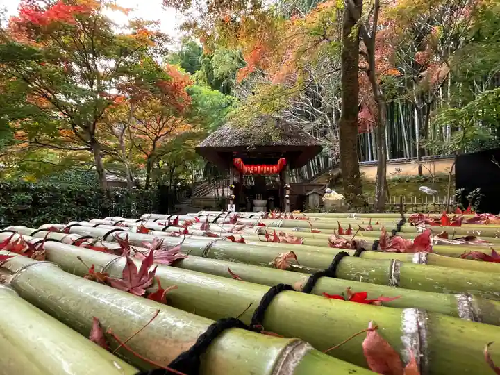 化野念仏寺の末社・摂社