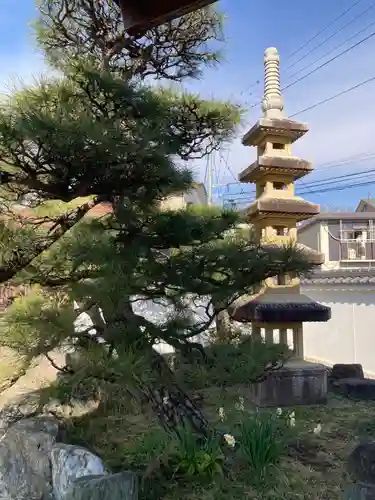 善福寺(神奈川県)