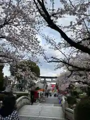 富士山本宮浅間大社の鳥居