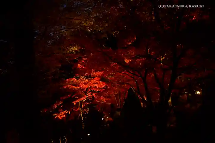 大山寺(神奈川県)