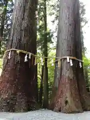 丹生川上神社（中社）(奈良県)