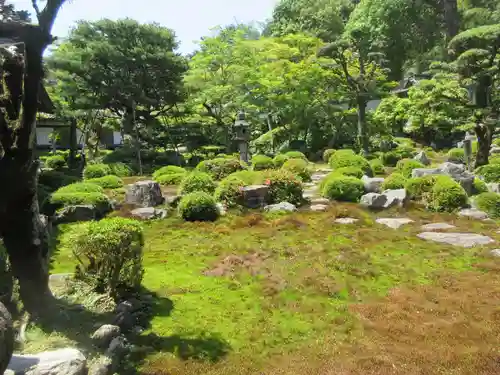 金剛寺の庭園