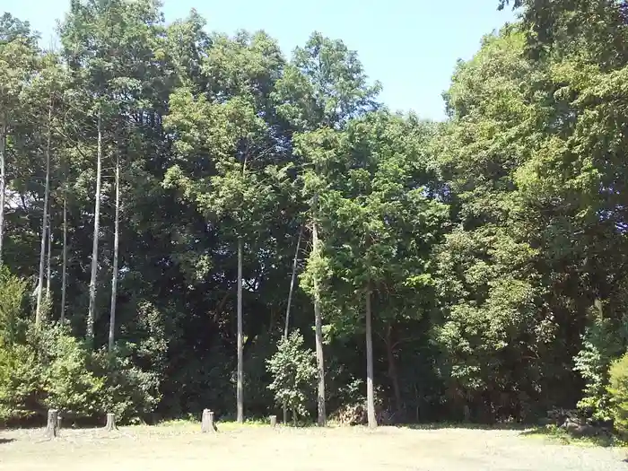 勝音寺の建物その他