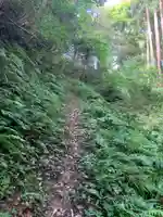 子大権現の自然