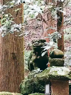 室生龍穴神社の狛犬