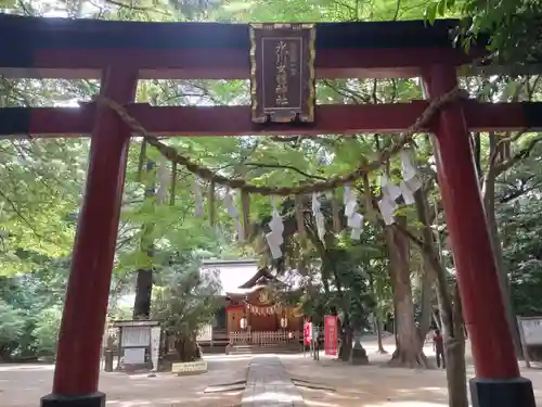 氷川女體神社の鳥居