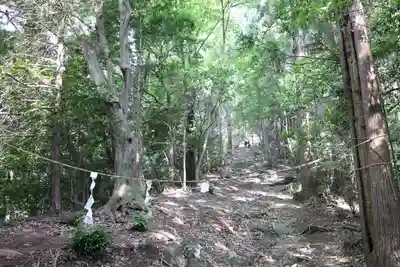 富士浅間神社の自然