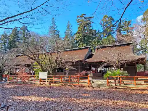 大井俣窪八幡神社の本殿