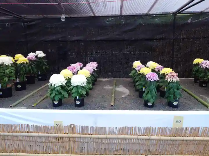 宗像大社(福岡県)