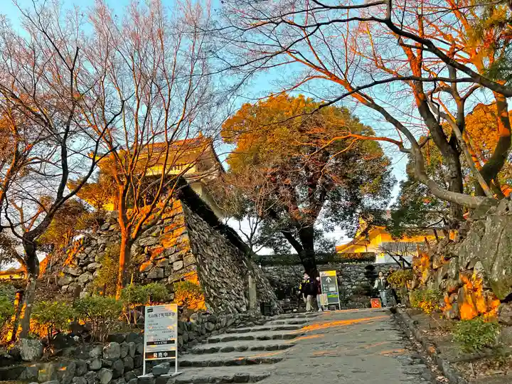 針綱神社の周辺