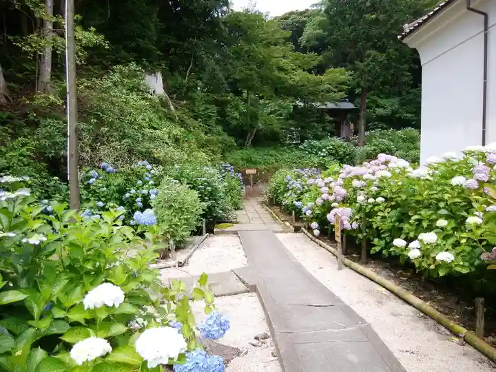 月照寺(島根県)