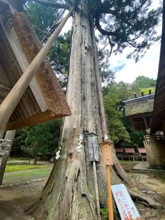 元伊勢内宮 皇大神社(京都府)
