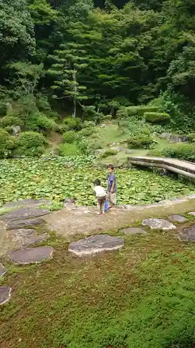 興禅寺の庭園