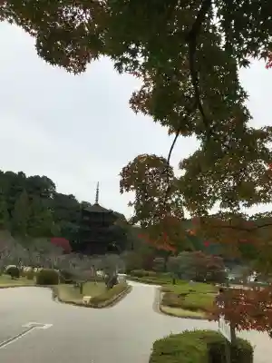 瑠璃光寺の{uncategorized: "未分類", other: "その他", undefined: "問題あり", building: "その他建物", grave: "お墓", sacred_gate: "鳥居", guardian: "狛犬", statue: "像", buddha: "仏像", history: "歴史", nature: "自然", garden: "庭園", animal: "動物", pagoda: "塔", temizu: "手水舎", mountain_gate: "山門・神門", sanctuary: "本殿・本堂", subordinate: "末社・摂社", art: "芸術", scenery: "景色", jizo: "地蔵", ema: "絵馬", goshuin: "御朱印", omikuji: "おみくじ", items: "授与品その他", amulet: "お守り", goshuincho: "御朱印帳", eats: "食事", festival: "お祭り", votive_dance: "神楽", shichigosan: "七五三参", wedding: "結婚式", experience: "体験その他", initially: "初詣", around: "周辺", anti_infection: "感染症対策"}