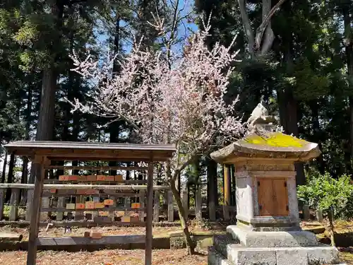 阿久津「田村神社」（郡山市阿久津町）旧社名：伊豆箱根三嶋三社(福島県)