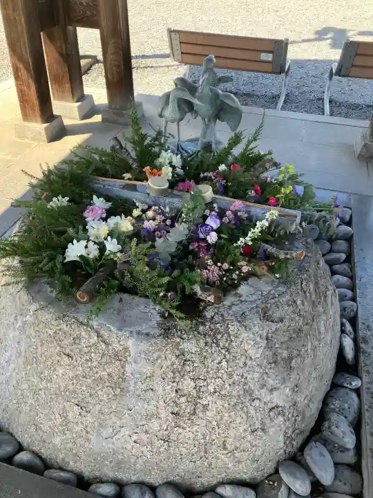 白鷺神社の{uncategorized: "未分類", other: "その他", undefined: "問題あり", building: "その他建物", grave: "お墓", sacred_gate: "鳥居", guardian: "狛犬", statue: "像", buddha: "仏像", history: "歴史", nature: "自然", garden: "庭園", animal: "動物", pagoda: "塔", temizu: "手水舎", mountain_gate: "山門・神門", sanctuary: "本殿・本堂", subordinate: "末社・摂社", art: "芸術", scenery: "景色", jizo: "地蔵", ema: "絵馬", goshuin: "御朱印", omikuji: "おみくじ", items: "授与品その他", amulet: "お守り", goshuincho: "御朱印帳", eats: "食事", festival: "お祭り", votive_dance: "神楽", shichigosan: "七五三参", wedding: "結婚式", experience: "体験その他", initially: "初詣", around: "周辺", anti_infection: "感染症対策"}