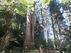 御岩神社(茨城県)